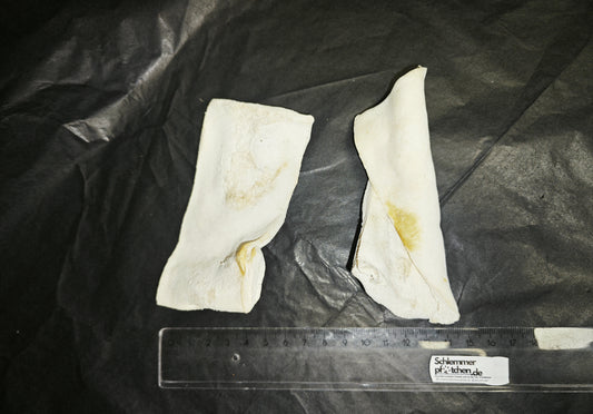 Büffel Square.WauKau - Natürlich Quadratisch Snacken!