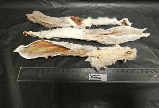 Kaninchen-Ohren_mit_Fell_3_Stueck_1_Schlemmerpfötchen