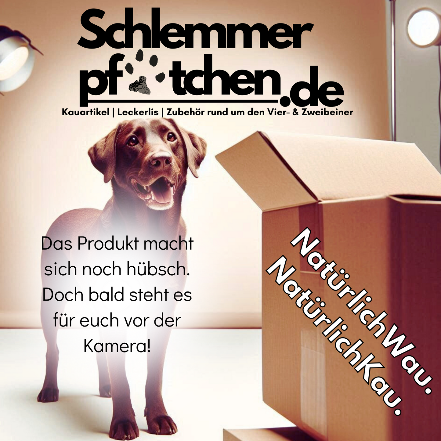 Produktbild-neuerArtikel_2_schlemmerpfötchen