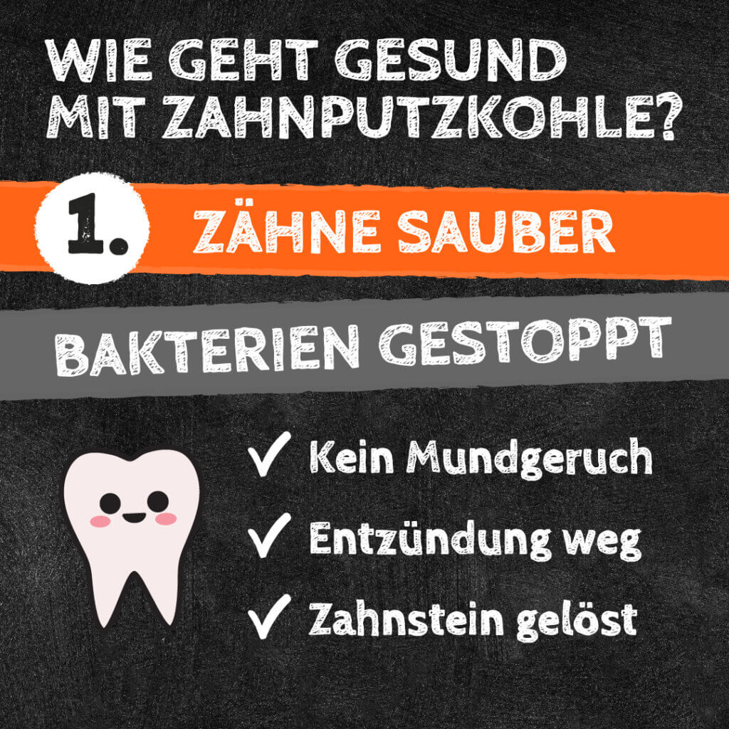 Zahnputzflocken Hund - Zahnpflege ohne Stress von QChefs