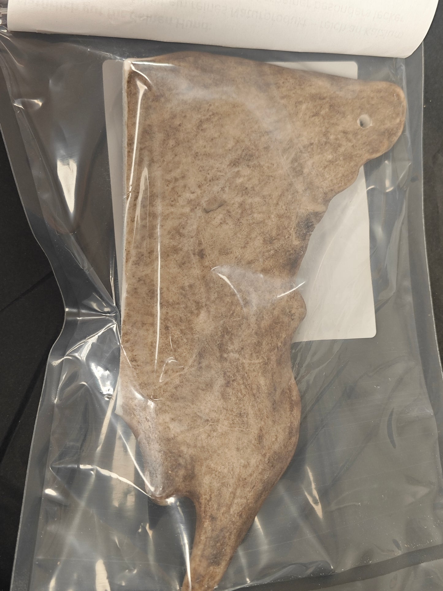 Wild scoop for dogs – natural chewing pleasure!