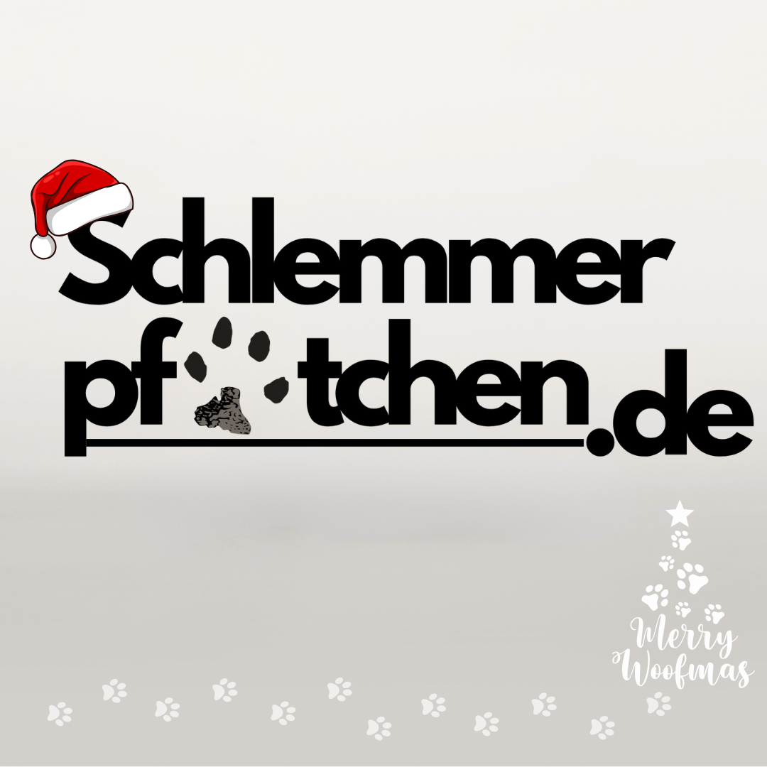 Geschenkideen zu Weihnachten