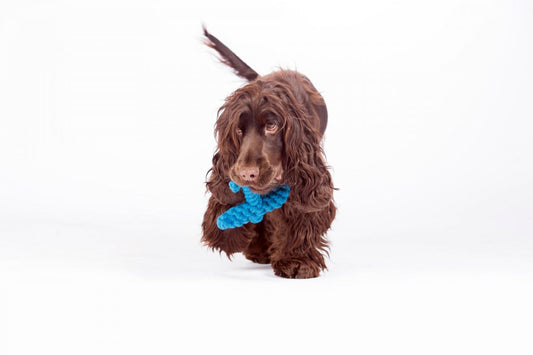 Angela Anker (Laboni) - Robust dog toy made of dental-care cotton rope
