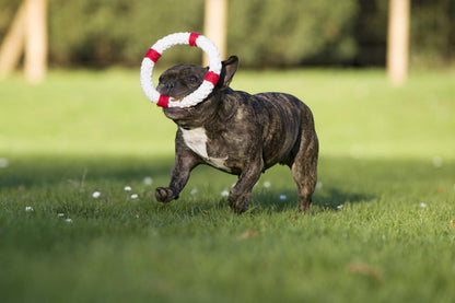 Rita Lifebuoy (Laboni) - Robust dog toy made of dental-care cotton rope
