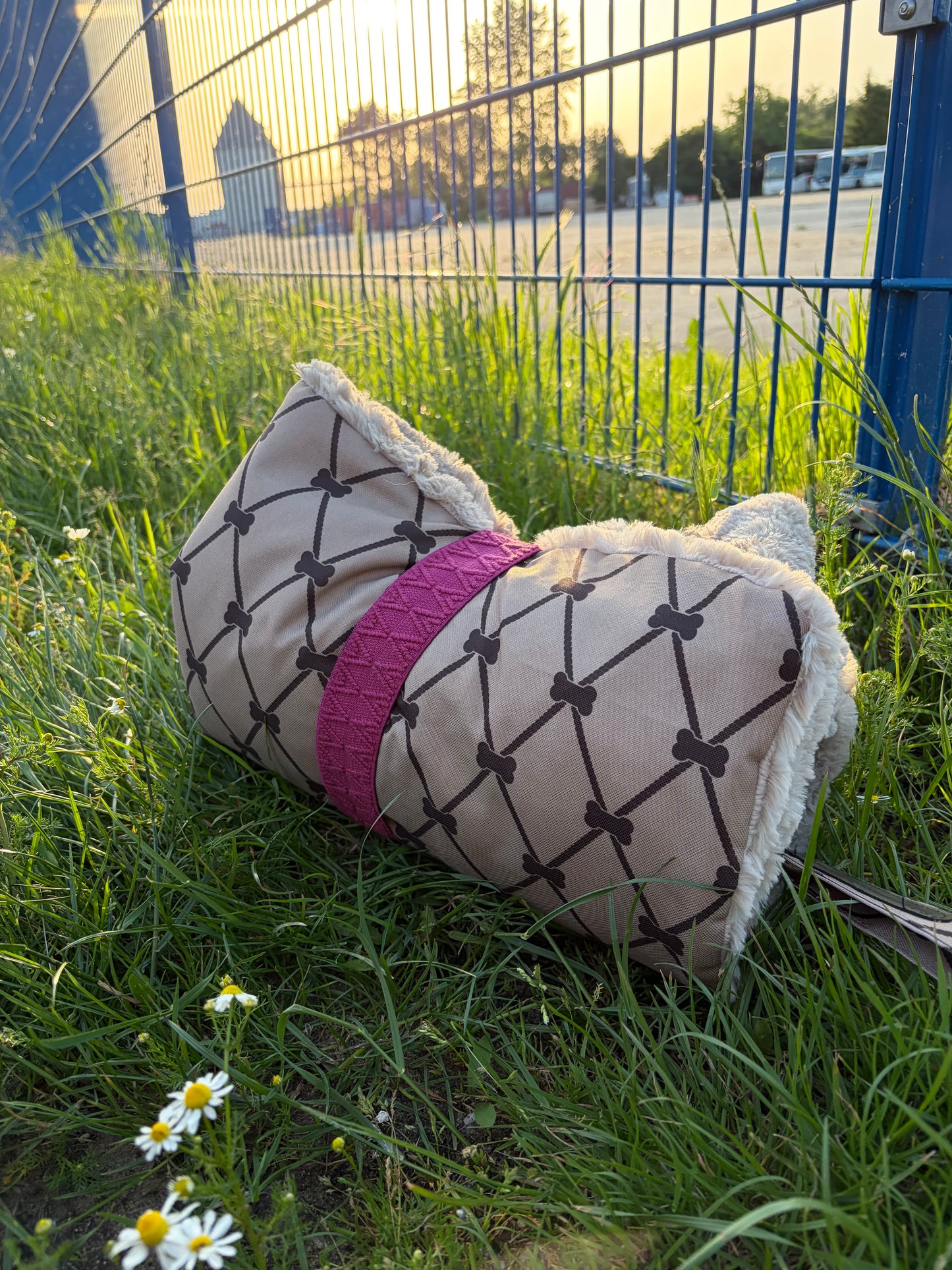 Dogplace-To-Go: Deine Hunddecke für unterwegs