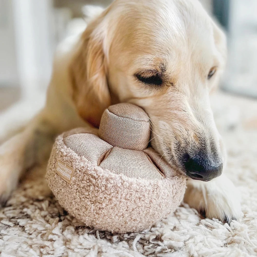 GUU Sniffing Mushroom (Various Sizes and Colors)