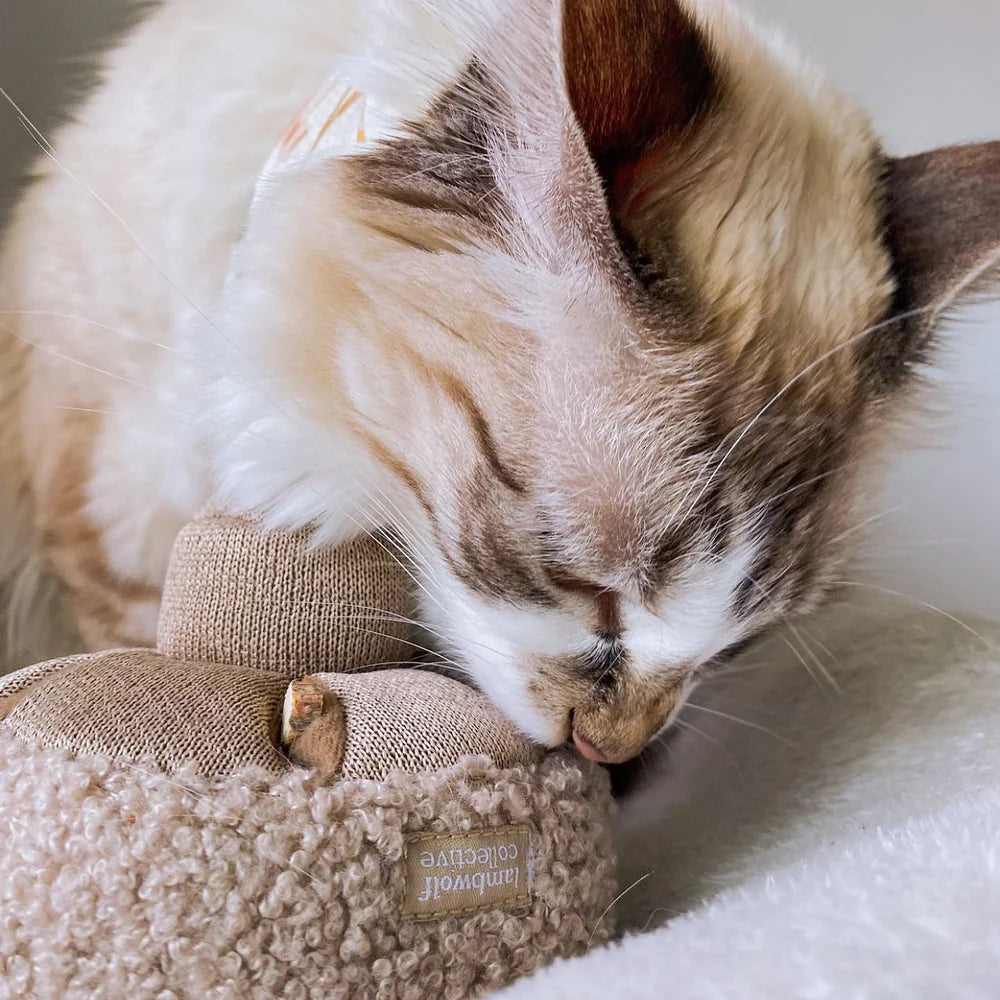 GUU Sniffing Mushroom (Various Sizes and Colors)