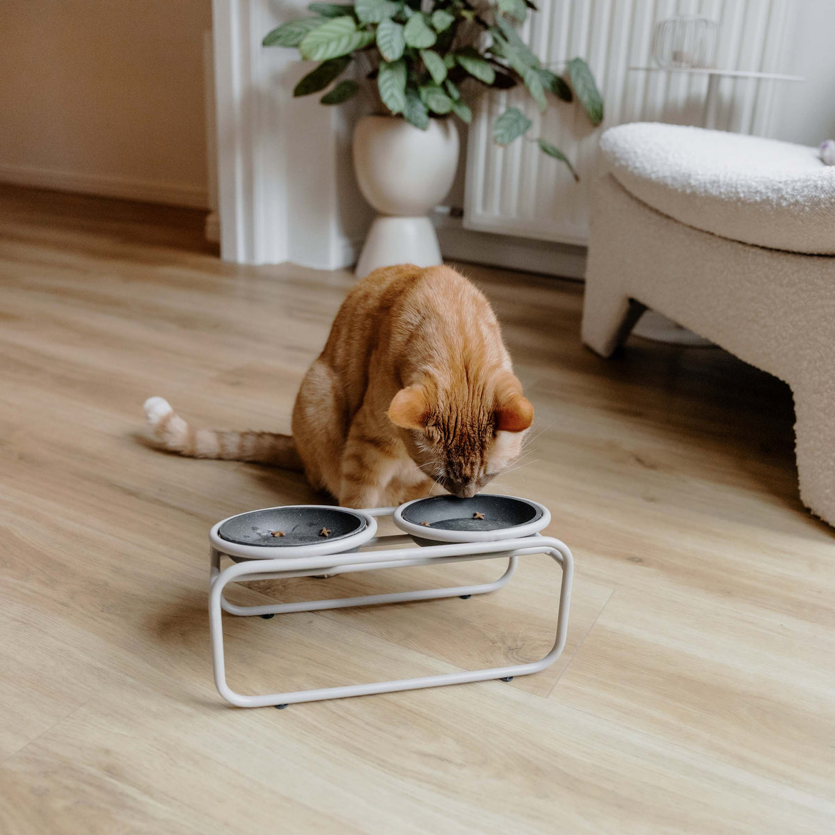 Doppelfutternapfständer für kleine Hunde oder Katzen – Produktansicht 5, abgebildete Näpfe separat erhältlich