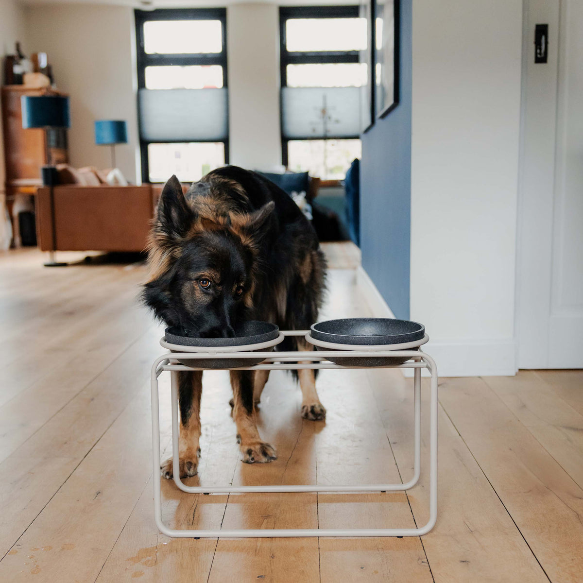 Doppelfutternapfständer für Hunde – Ansicht 12, Näpfe separat erhältlich