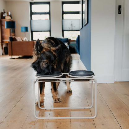 Doppelfutternapfständer für Hunde – Ansicht 12, Näpfe separat erhältlich