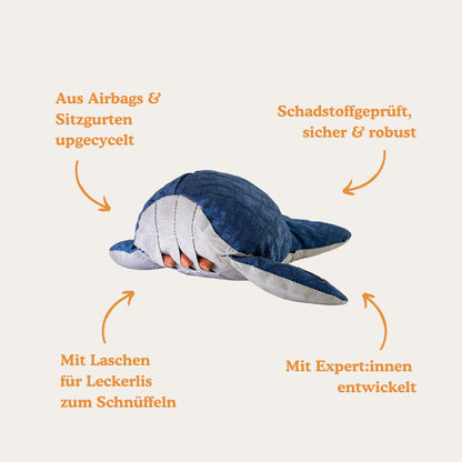 Wal Schnüffelspielzeug - Produktdetails