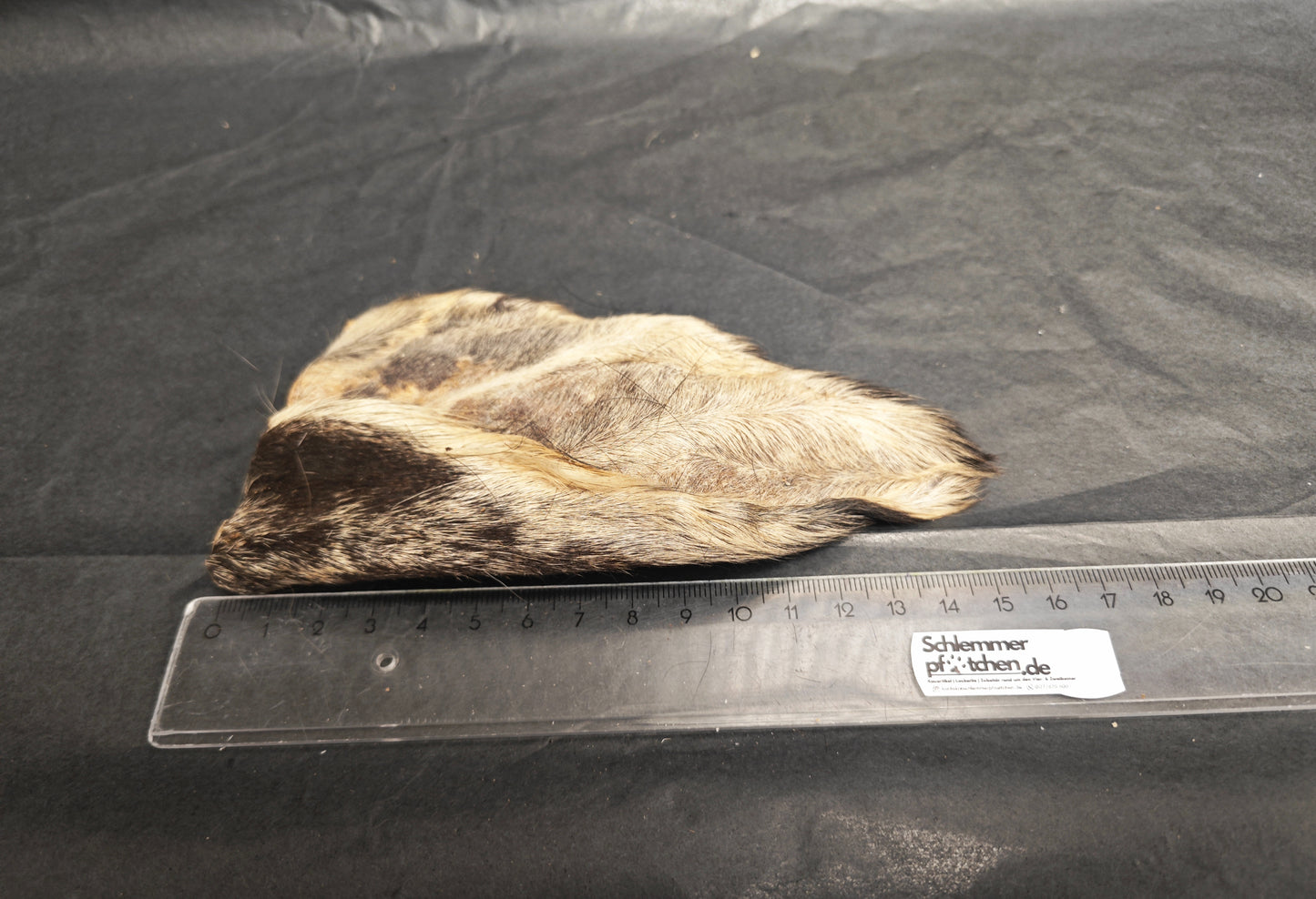 Buffalo ears with fur - Hypoallergenic