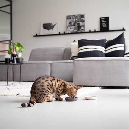 BAMBOO Katzen Futternapf