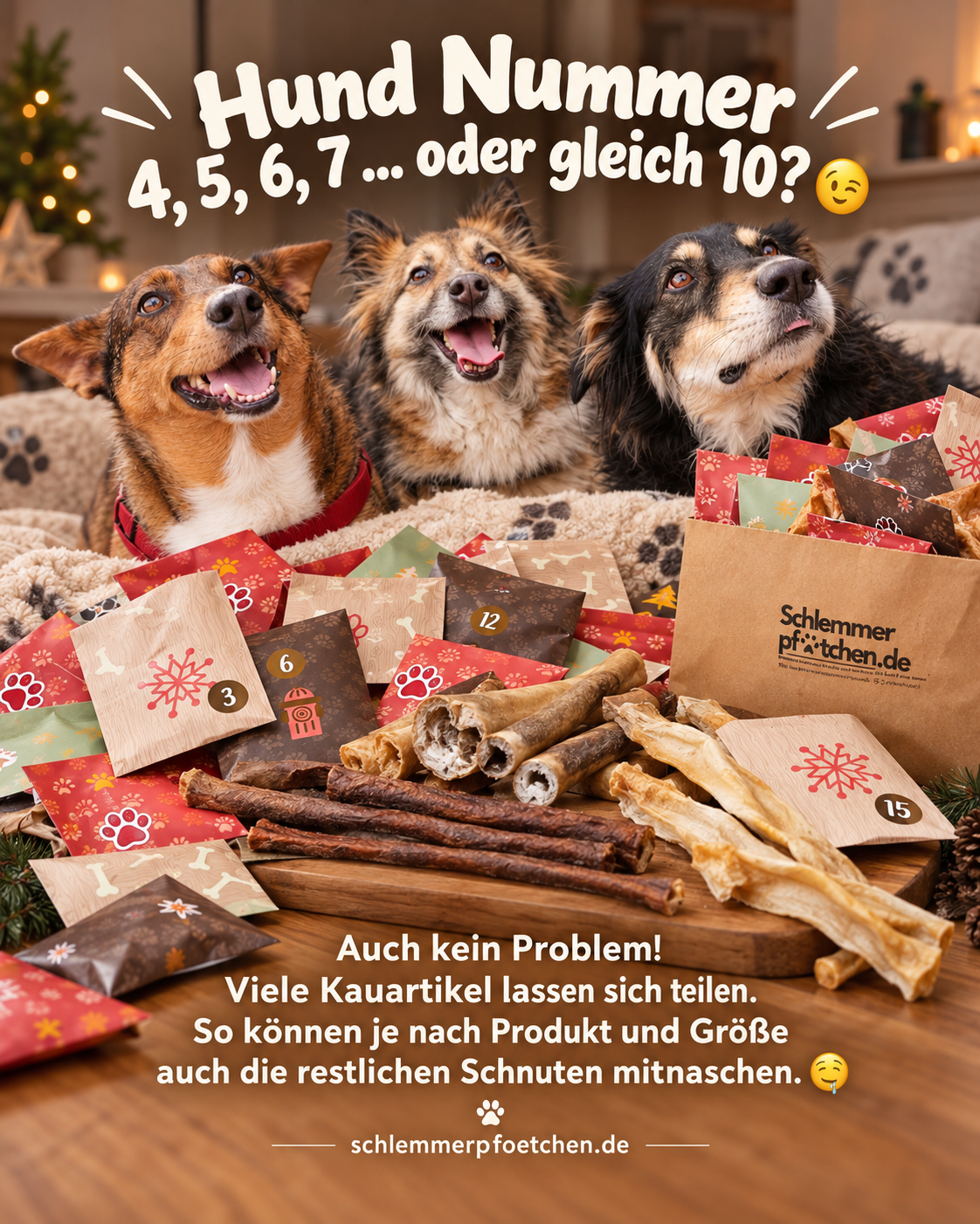 Hunde-Adventskalender für einen, zwei oder mehrere Hunde - für viele sensible Hunde geeignet