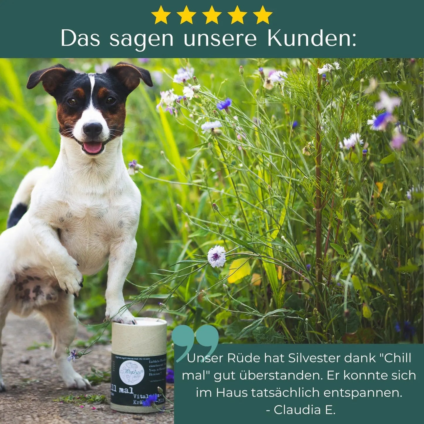 Chill-mal_Kundenfeedback