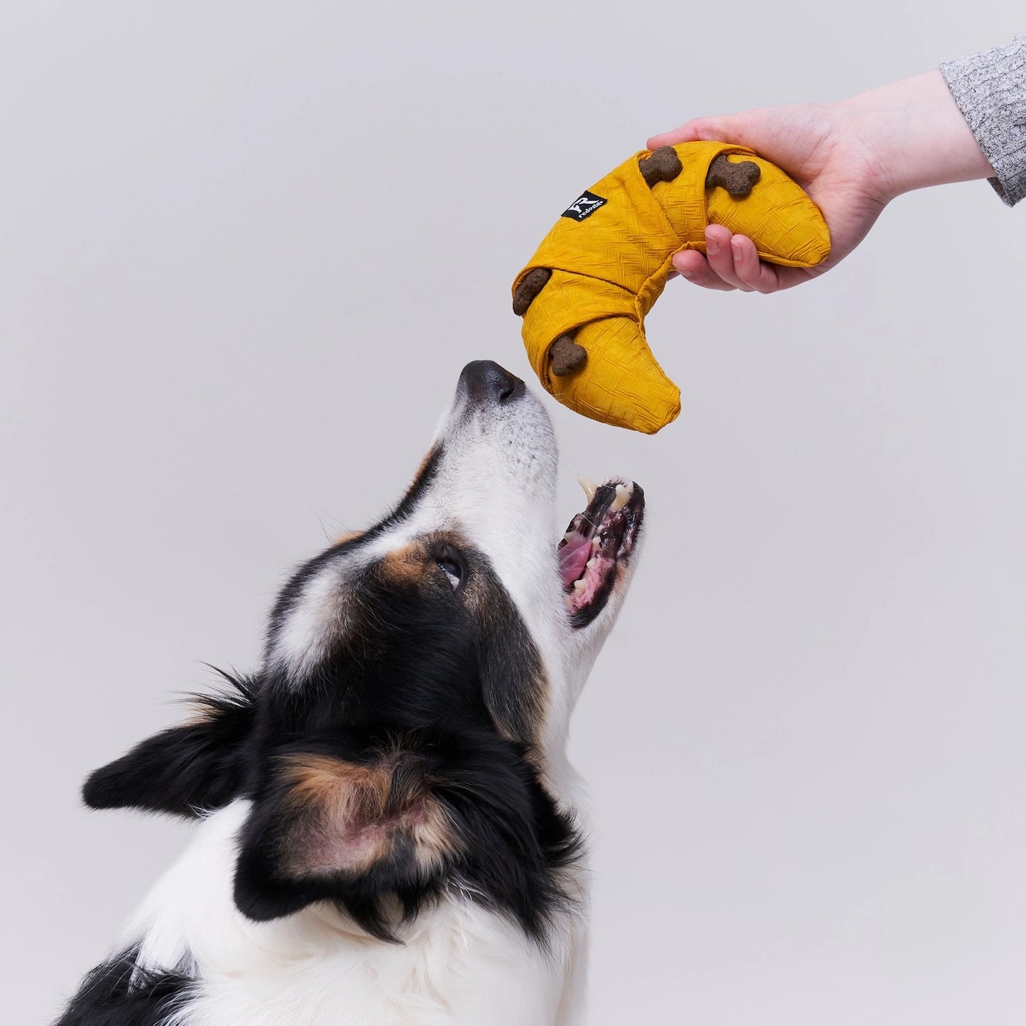 Redoggo Croissant – Für clevere Hunde mit Spürnase