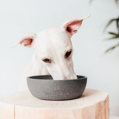 BAMBOO Hunde Futternapf
