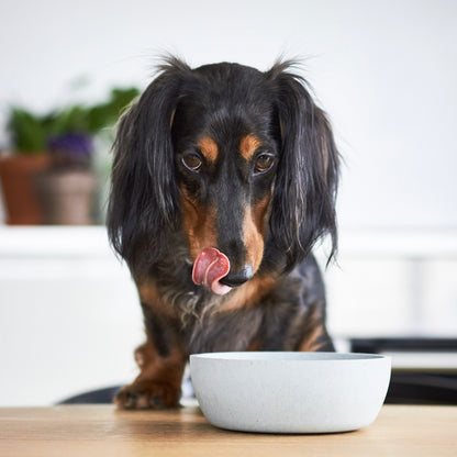 BAMBOO Hunde Futternapf