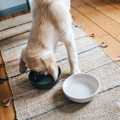 BAMBOO Hunde Futternapf