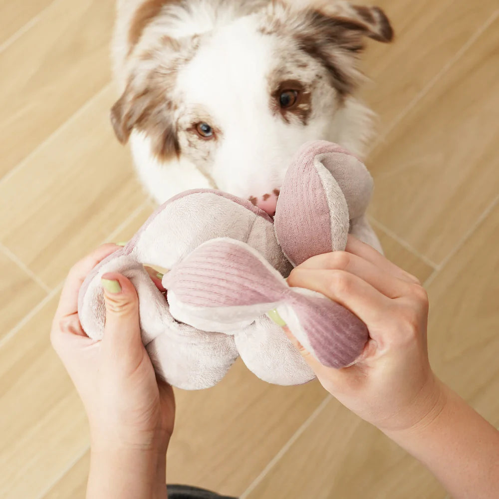 MONTI - crackling + squeaking sniffing ball
