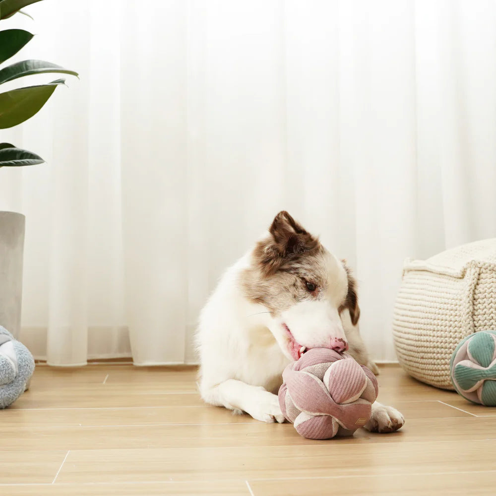MONTI - crackling + squeaking sniffing ball