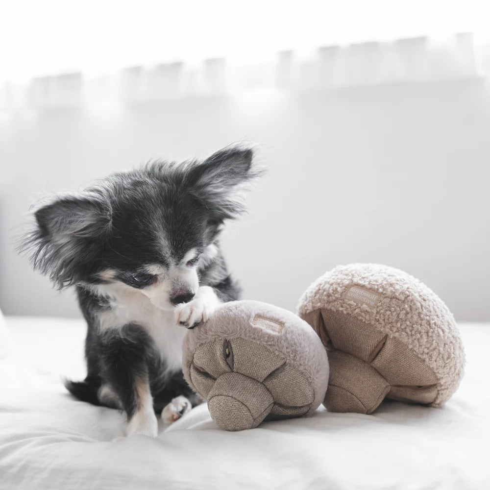GUU Sniffing Mushroom (Various Sizes and Colors)