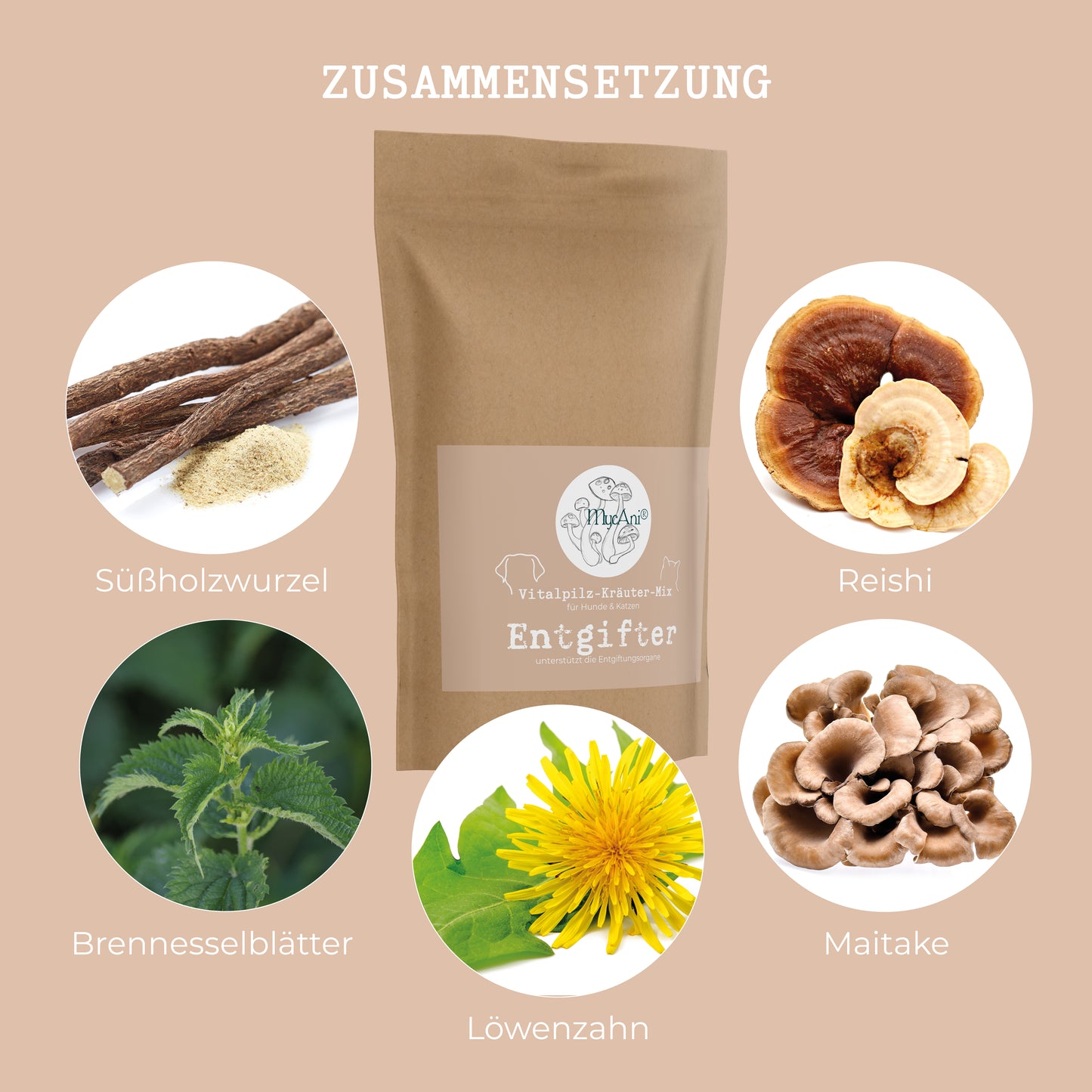 Detoxifier 200g - Spring Special (MyCani - Medicinal Mushroom and Herb Mix)