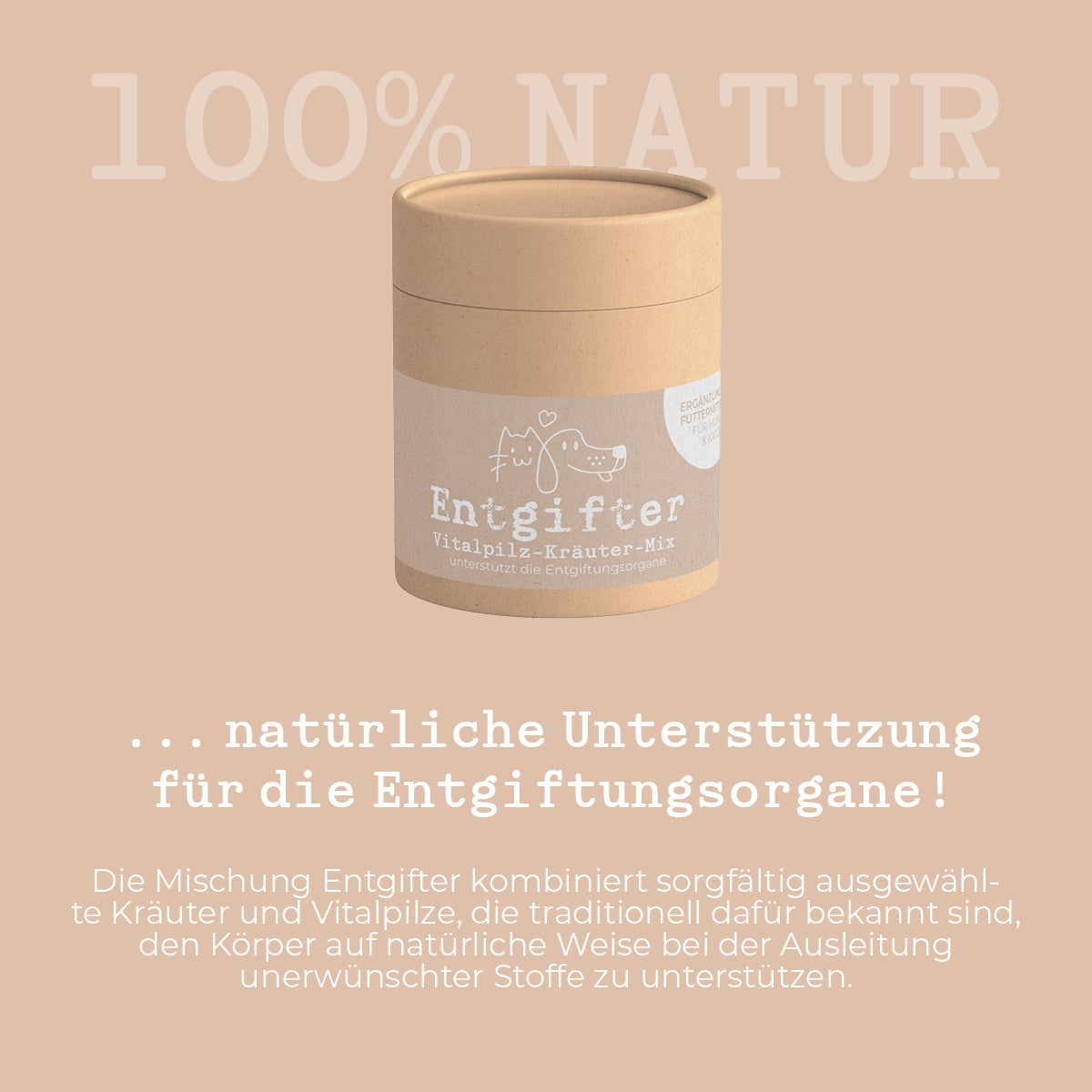 Detoxifier 200g - Spring Special (MyCani - Medicinal Mushroom and Herb Mix)