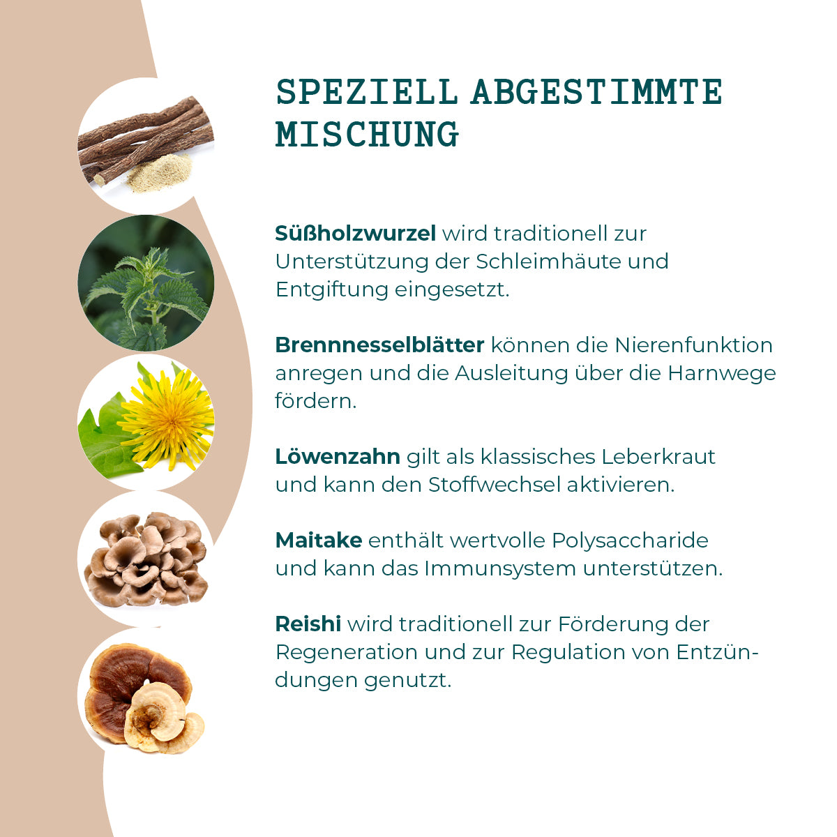 Detoxifier 200g - Spring Special (MyCani - Medicinal Mushroom and Herb Mix)