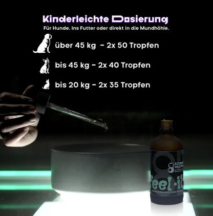 Feel it - für Hunde mit Hormonchaos
