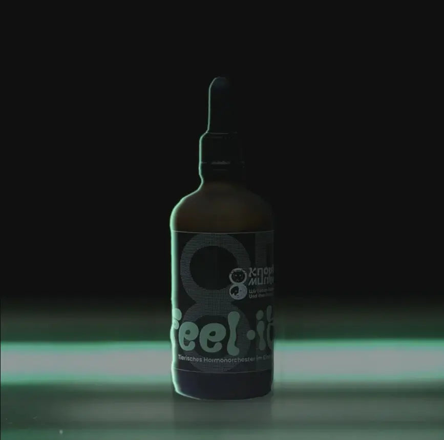 Feel it - für Hunde mit Hormonchaos