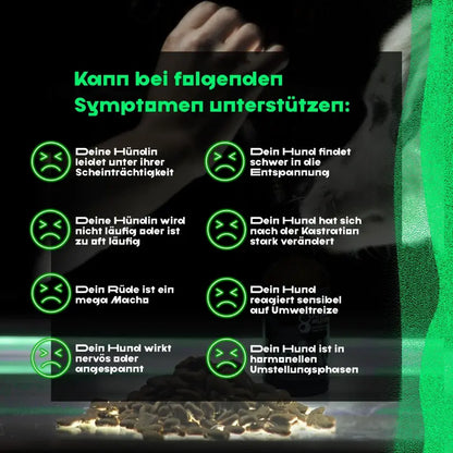 Feel it - für Hunde mit Hormonchaos