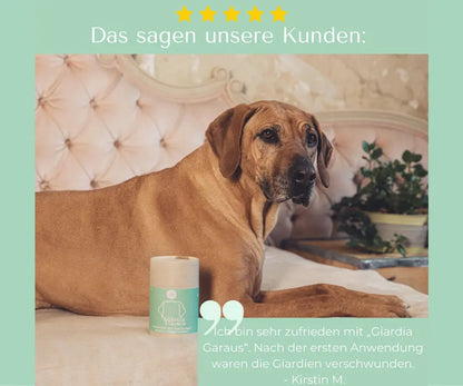 Giardia-Garaus-Mycani_Kundenfeedback