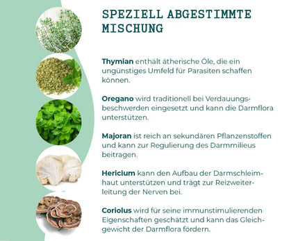 Giardia-Garaus-Mycani_Zusammensetzung-mit-Erklaerung