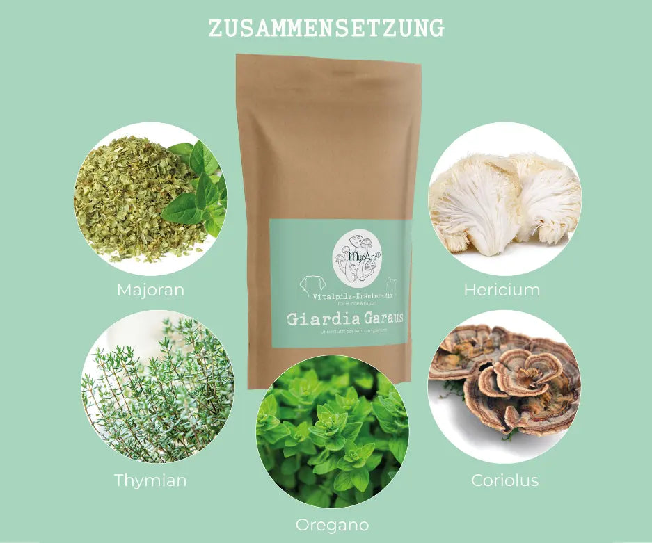 Giardia-Garaus-Mycani_Zusammensetzung