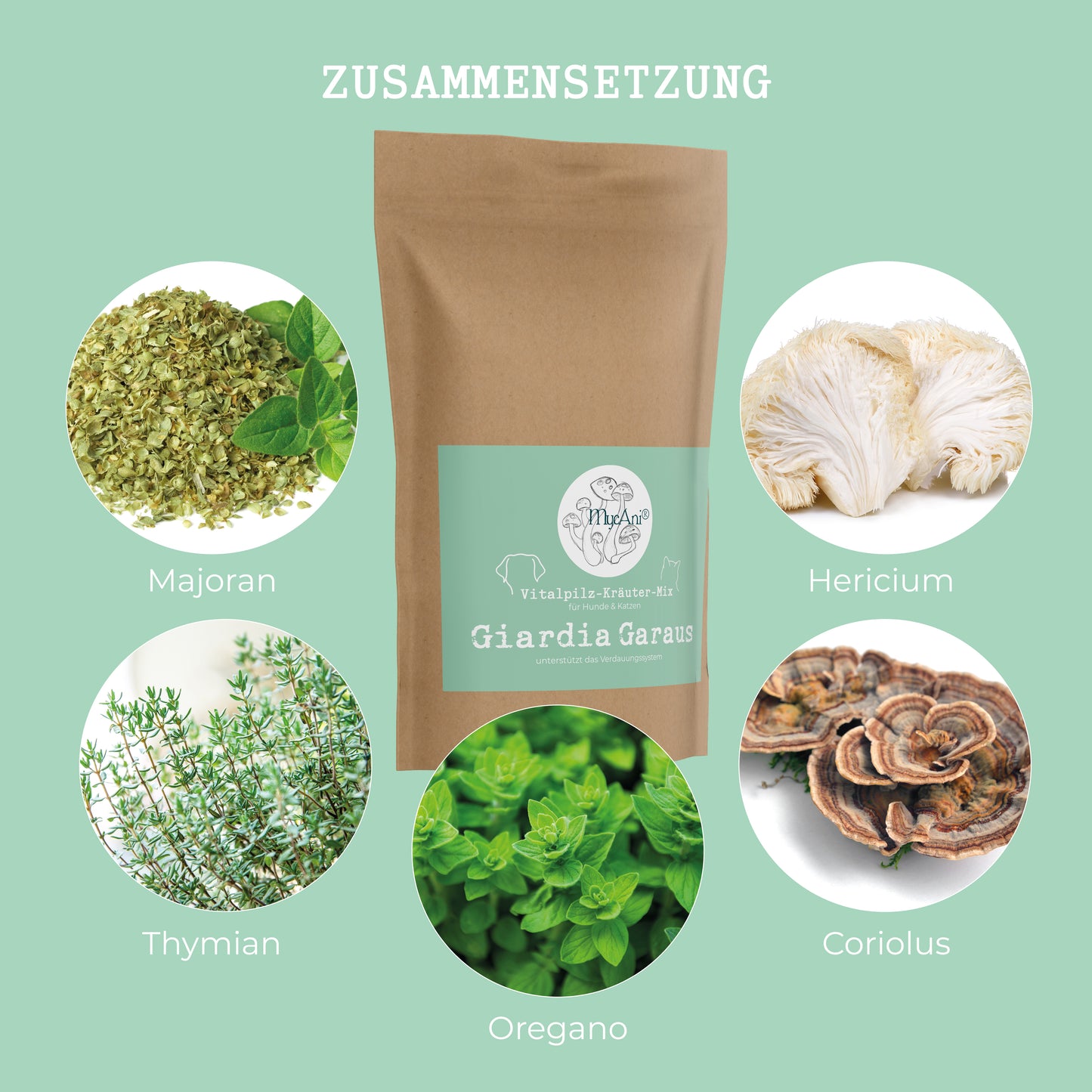 Giardia Garaus 100g (Medicinal Mushroom and Herb Mix)
