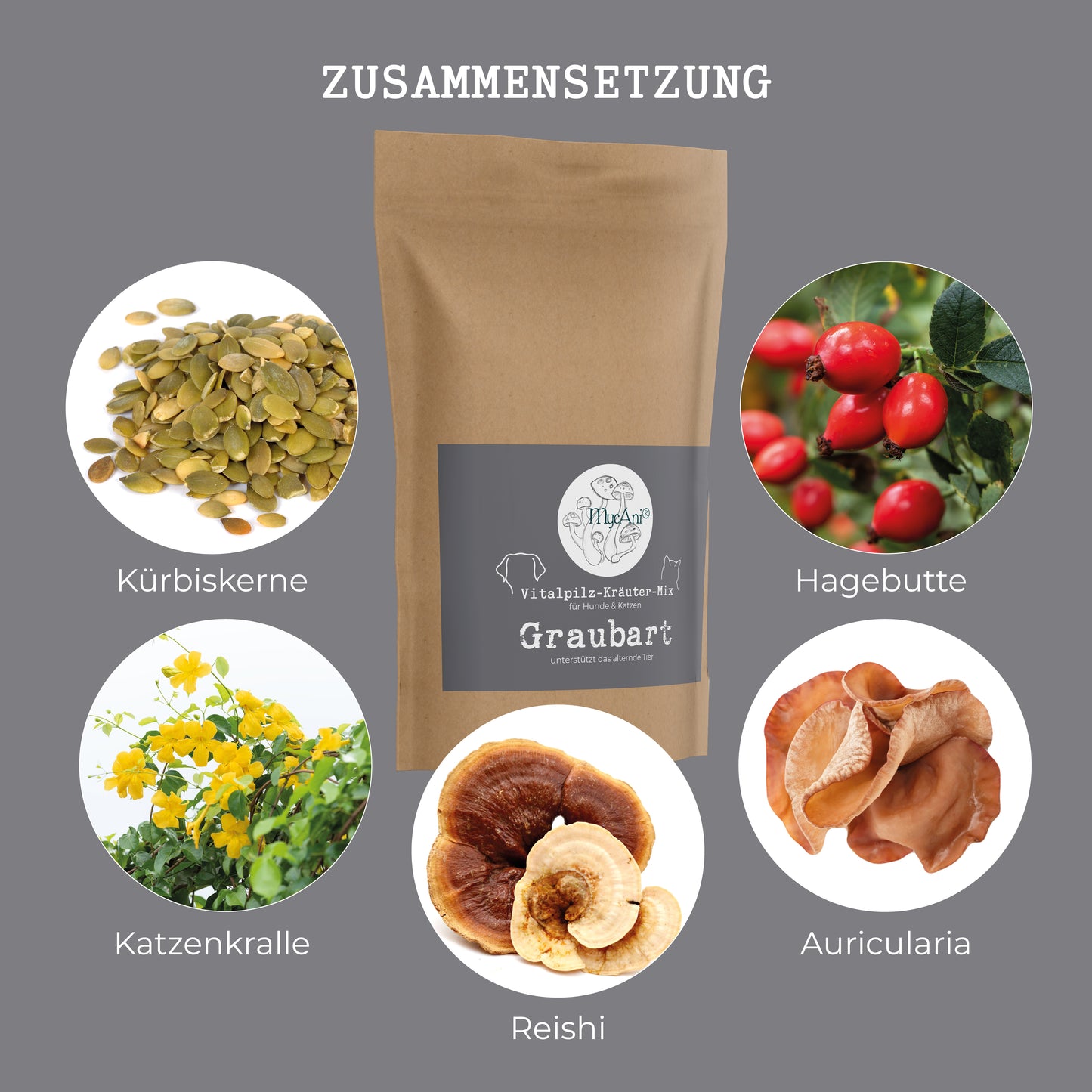 Graubart - natürliche Unterstützung für alternde Fellnasen! (MycAni)