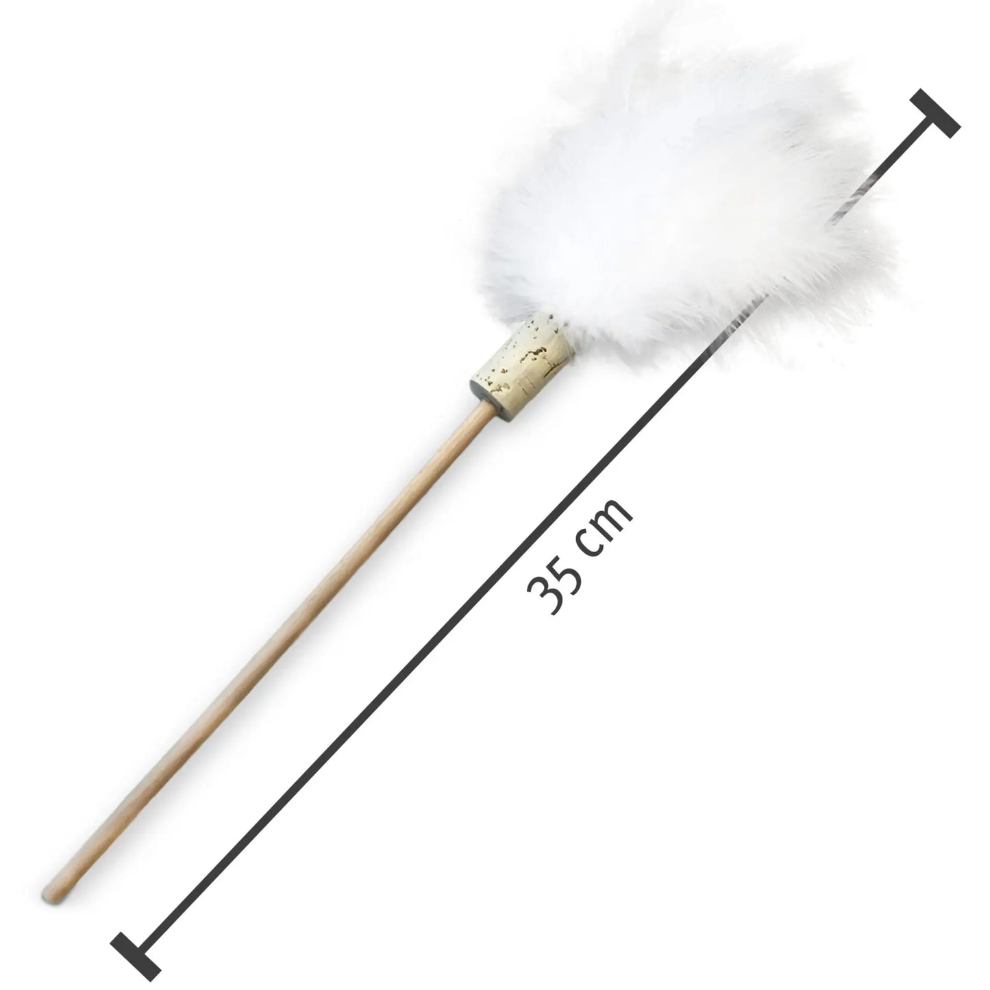 feather duster