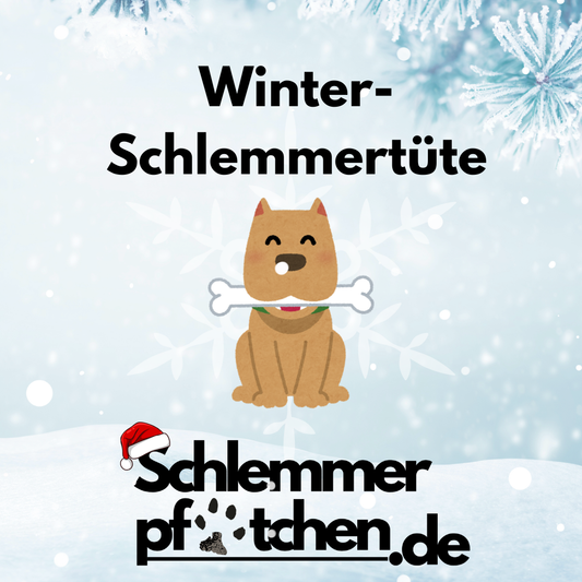 Winter-Schlemmertüte (Kauartikel Spezial)