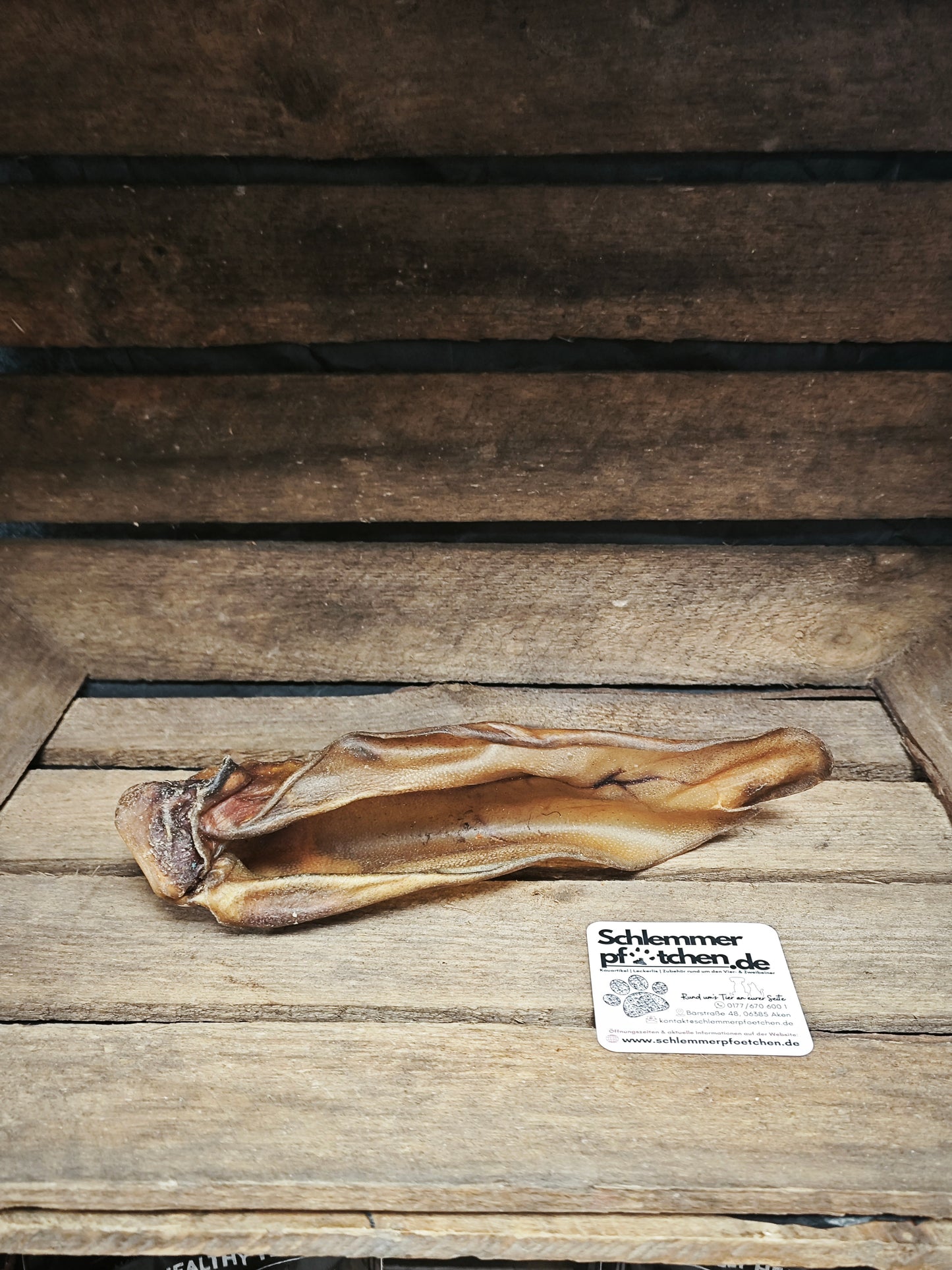 Hirsch-Ohr (ohne Fell)