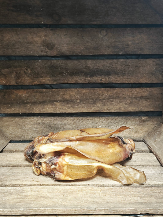 Hirsch-Ohr (ohne Fell)