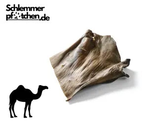 Kamelhaut-Platte