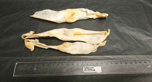 Rabbit ears without fur - The healthy chips for the dog