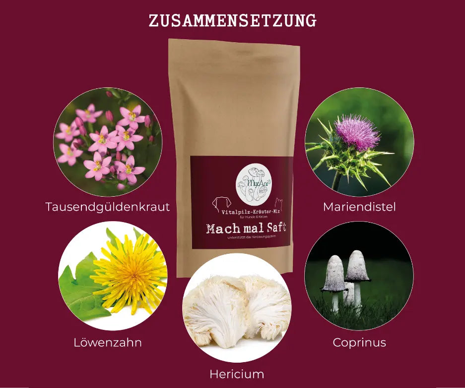 Mach-mal-Saft-mycani_Zusammensetzung