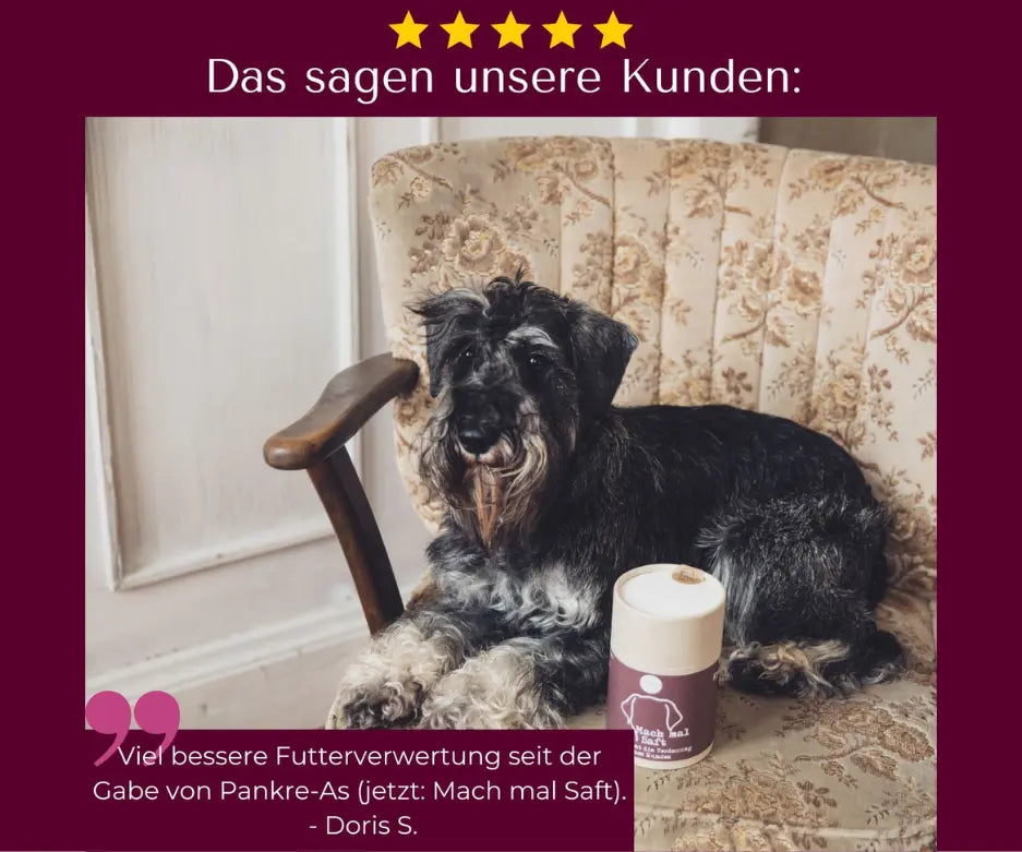 Mach-mal-Saft-mycani_kundenfeedback