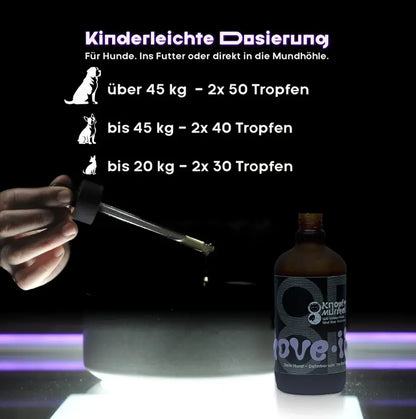 Move it - Für die Beweglichkeit deines Hundes