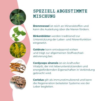 MycAni_Zusammensetzung2_durchspueler