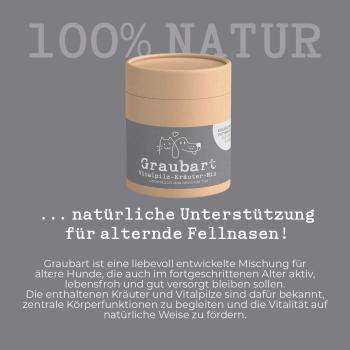 Graubart - natürliche Unterstützung für alternde Fellnasen! (MycAni)
