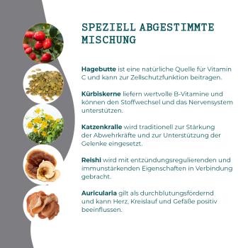 Graubart - natürliche Unterstützung für alternde Fellnasen! (MycAni)