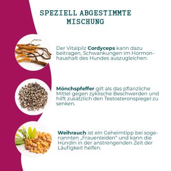 Liebestoll (MycAni) - Hormonbalance für Hunde natürlich fördern